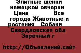 Элитные щенки немецкой овчарки › Цена ­ 30 000 - Все города Животные и растения » Собаки   . Свердловская обл.,Заречный г.
